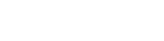 VinFast Store